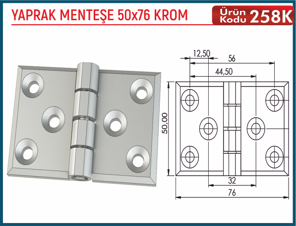 Yaprak Menteşe 50x76 Krom